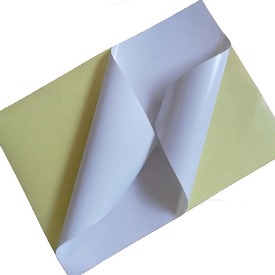 Χυτό ντυμένο φύλλο SS0111 εγγράφου αυτοκόλλητων ετικεττών με την έξοχη ισχυρή συγκολλητική κόλλα